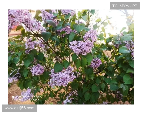 沈怡：镜头下的光影诗篇，心怀天地的叙事者