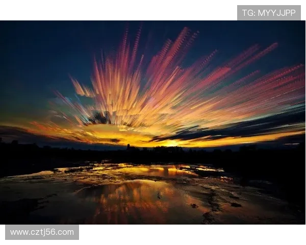 树梢上的遗梦：那些被遗忘的时光碎片